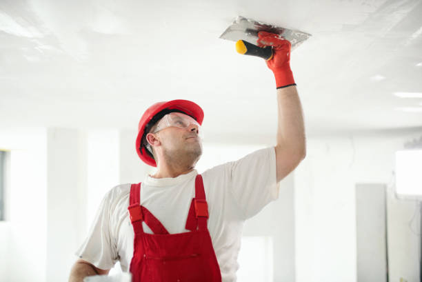 Best Post-Construction Mold Inspection  in Naranja, FL